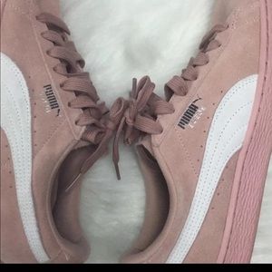 Pumas